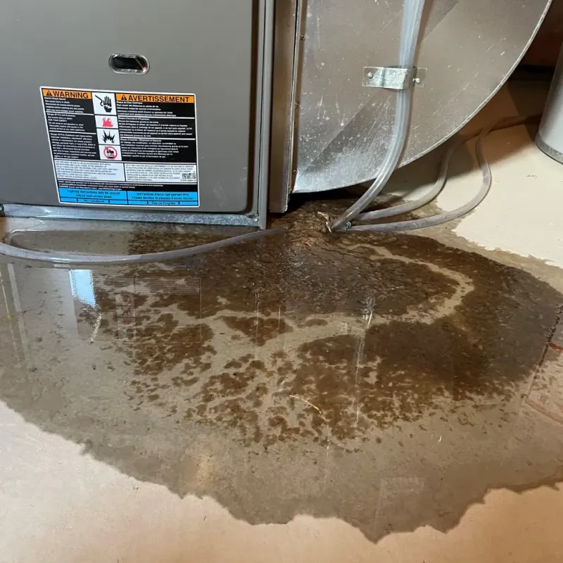 Appliance Leak Cleanup in Rockville, IN